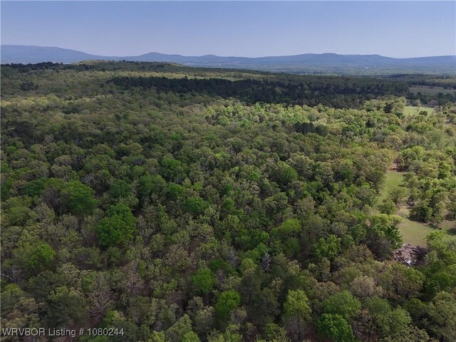 TRACT10 Station Rd, Bokoshe, OK 74930 - photo 5
