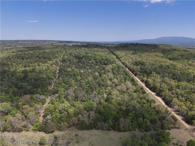 TRACT10 Station Rd, Bokoshe, OK 74930 - photo 10