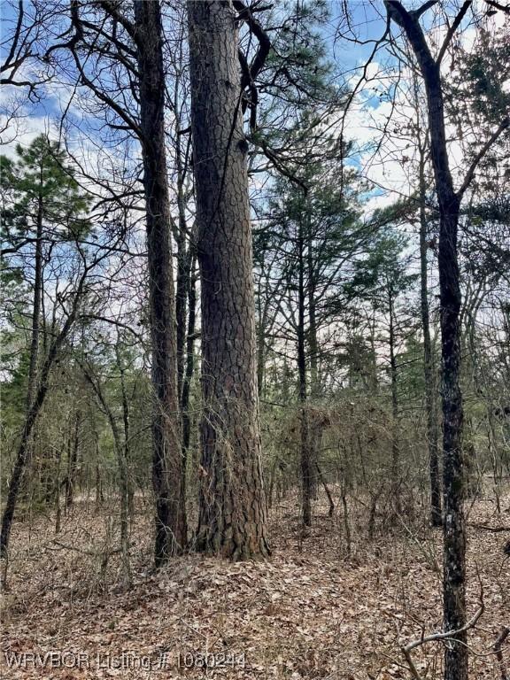 TRACT10 Station Rd, Bokoshe, OK 74930 - photo 1