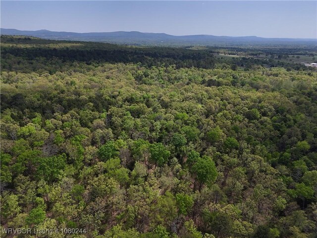TRACT10 Station Rd, Bokoshe, OK 74930 - photo 2