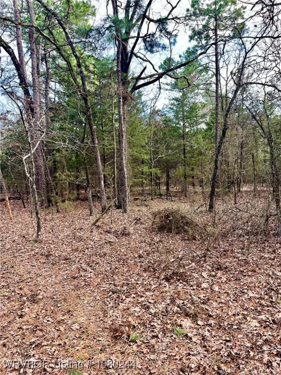 TRACT10 Station Rd, Bokoshe, OK 74930 - photo 18