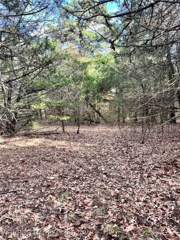 TRACT10 Station Rd, Bokoshe, OK 74930 - photo 17