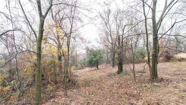 1200 Dow Jones Rd, Alma, AR 72921 - photo 31