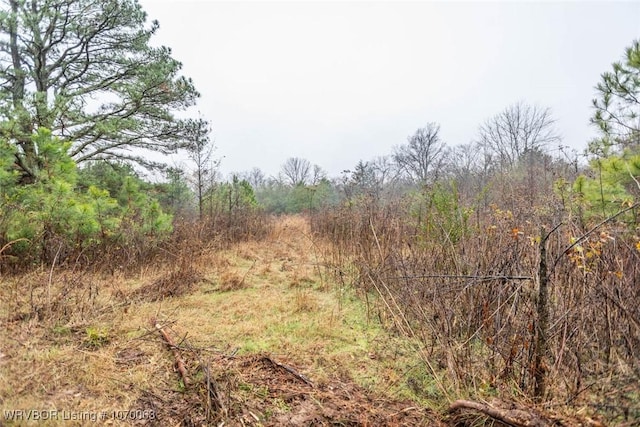 1200 Dow Jones Rd, Alma, AR 72921 - photo 23