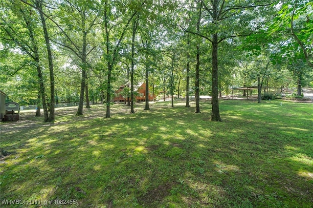 4610 Old Chismville Rd, Greenwood, AR 72936 - photo 38