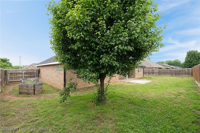 view of yard featuring a patio area