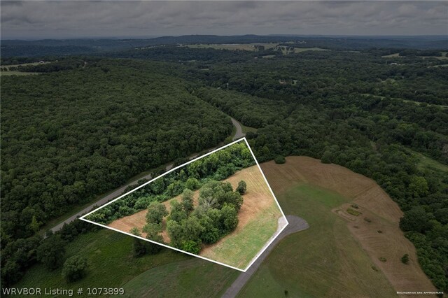 9833 Glennview Dr, Cedarville, AR 72932 - photo 9