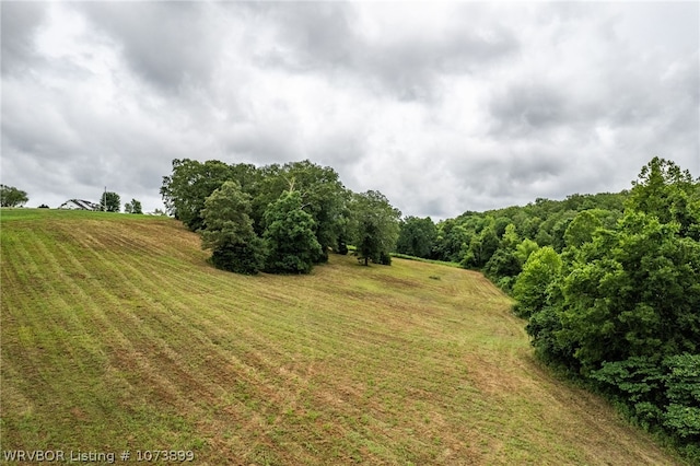 9833 Glennview Dr, Cedarville, AR 72932 - photo 4