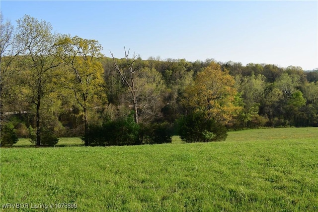 9833 Glennview Dr, Cedarville, AR 72932 - photo 2