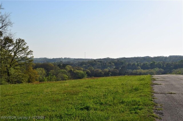 9833 Glennview Dr, Cedarville, AR 72932 - photo 15