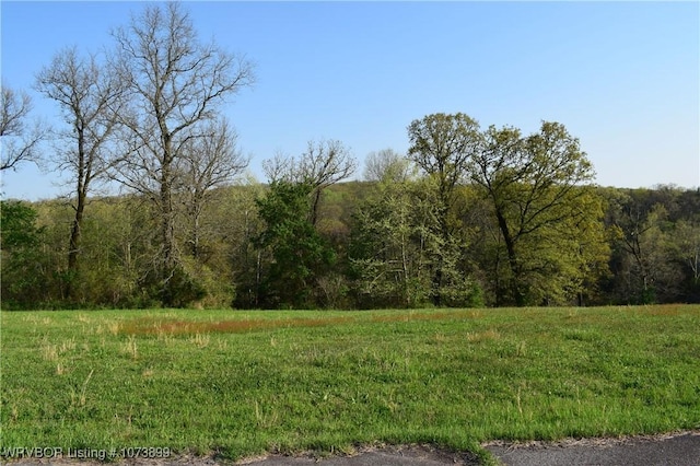 9833 Glennview Dr, Cedarville, AR 72932 - photo 1