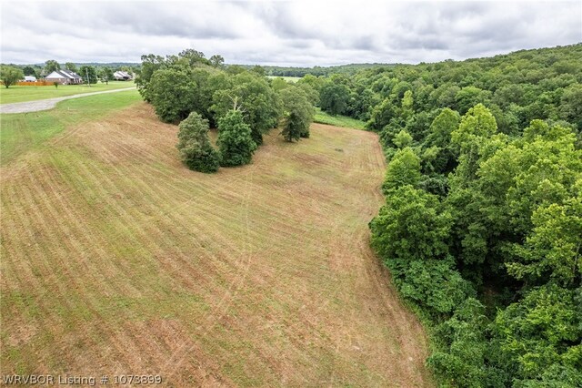 9833 Glennview Dr, Cedarville, AR 72932 - photo 6