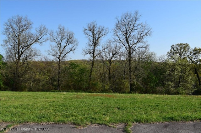 9833 Glennview Dr, Cedarville, AR 72932 - photo 3
