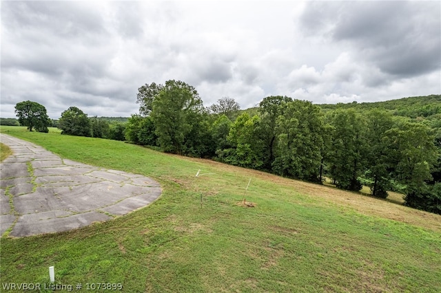 9833 Glennview Dr, Cedarville, AR 72932 - photo 5