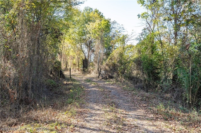 Listing photo 2 for 6100 Bermuda Grass Loop, Hackett AR 72937