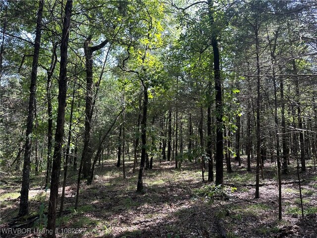 TRACT4 E1000 Rd, Ok, OK 74948 - photo 28