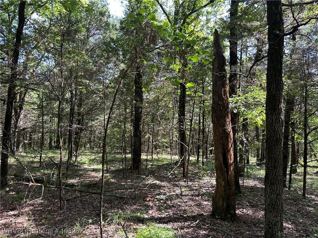 TRACT4 E1000 Rd, Ok, OK 74948 - photo 20