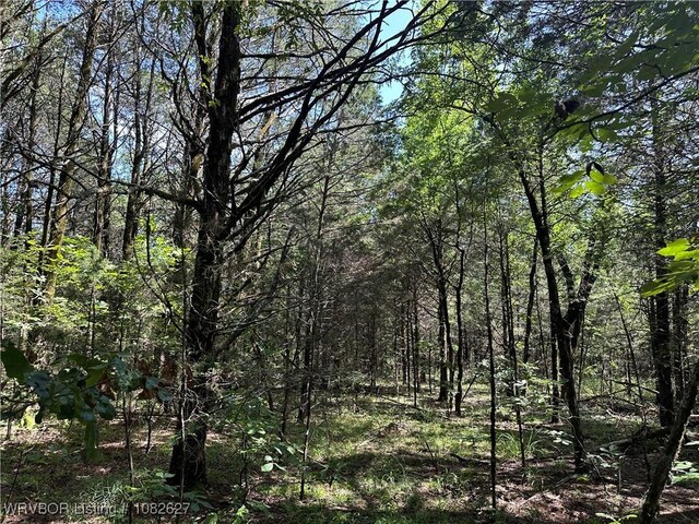 TRACT4 E1000 Rd, Ok, OK 74948 - photo 22