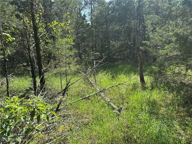 TRACT4 E1000 Rd, Ok, OK 74948 - photo 23