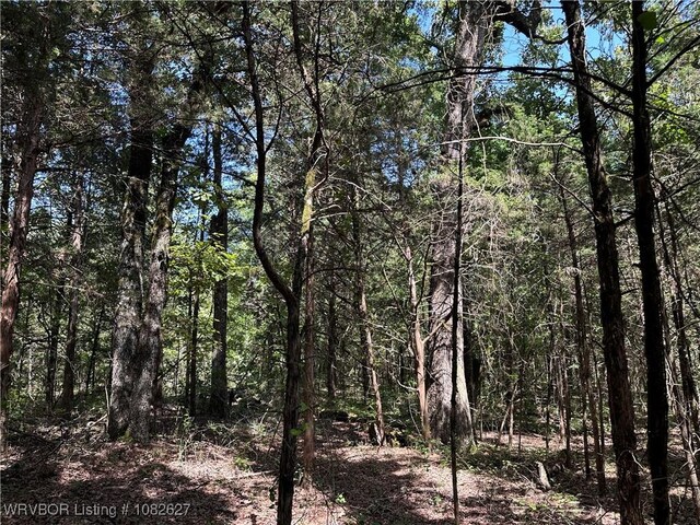 TRACT4 E1000 Rd, Ok, OK 74948 - photo 12