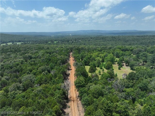 TRACT4 E1000 Rd, Ok, OK 74948 - photo 38