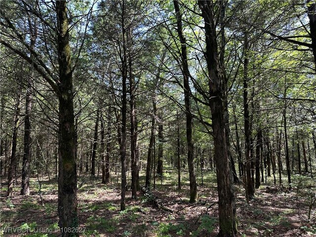 TRACT4 E1000 Rd, Ok, OK 74948 - photo 11