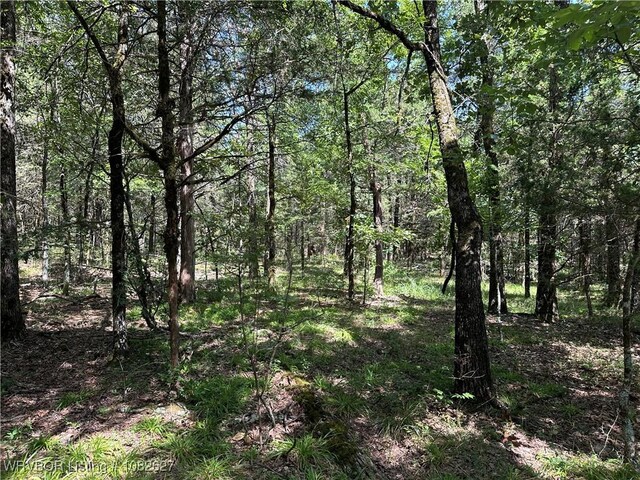 TRACT4 E1000 Rd, Ok, OK 74948 - photo 15