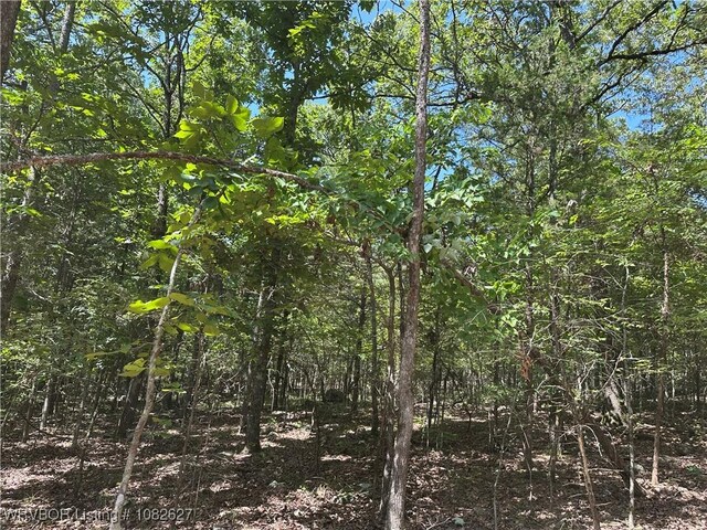 TRACT4 E1000 Rd, Ok, OK 74948 - photo 5
