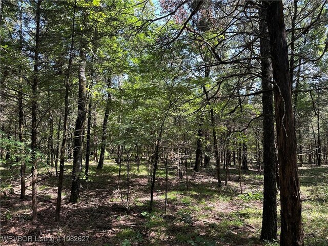TRACT4 E1000 Rd, Ok, OK 74948 - photo 13