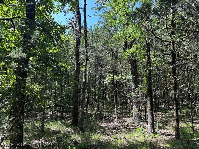 TRACT4 E1000 Rd, Ok, OK 74948 - photo 16