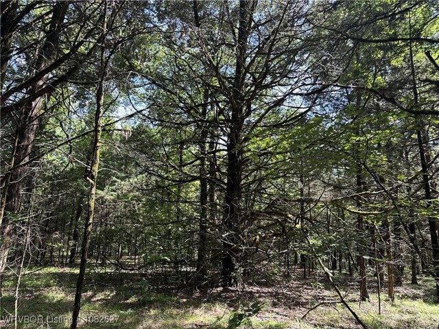 TRACT4 E1000 Rd, Ok, OK 74948 - photo 21