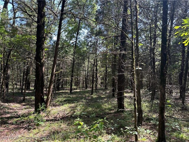 TRACT4 E1000 Rd, Ok, OK 74948 - photo 14