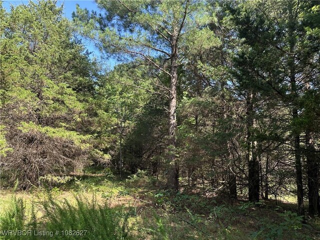 TRACT4 E1000 Rd, Ok, OK 74948 - photo 27