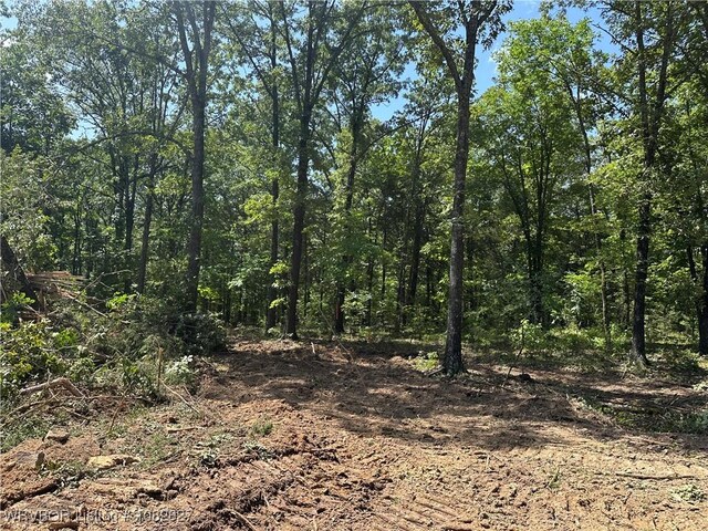 TRACT4 E1000 Rd, Ok, OK 74948 - photo 7