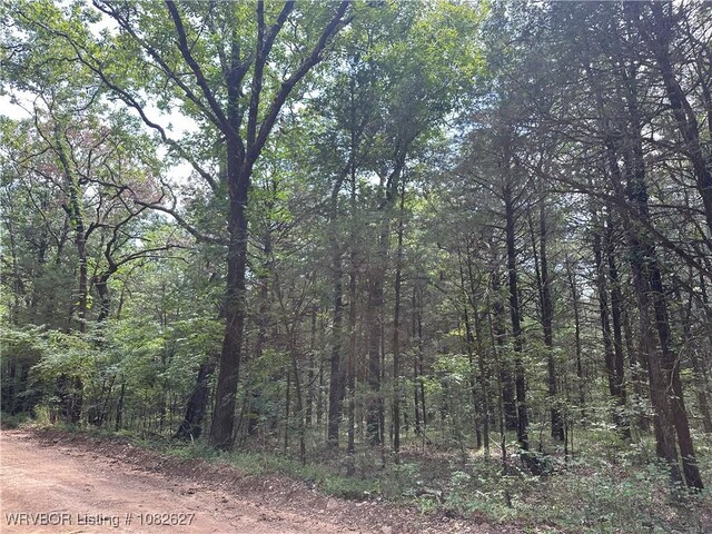 TRACT4 E1000 Rd, Ok, OK 74948 - photo 36