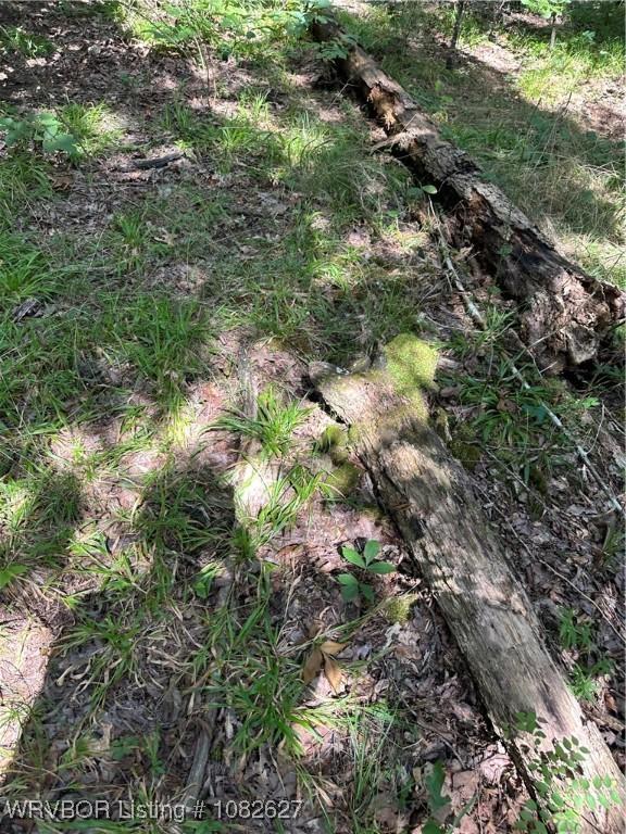 TRACT4 E1000 Rd, Ok, OK 74948 - photo 18