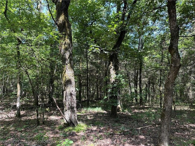 TRACT4 E1000 Rd, Ok, OK 74948 - photo 19