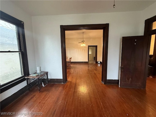 hall featuring dark wood-type flooring