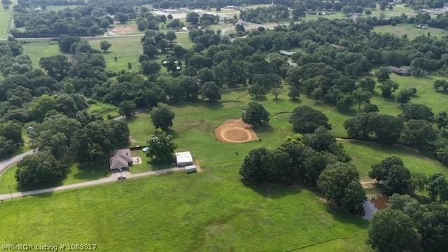 bird's eye view