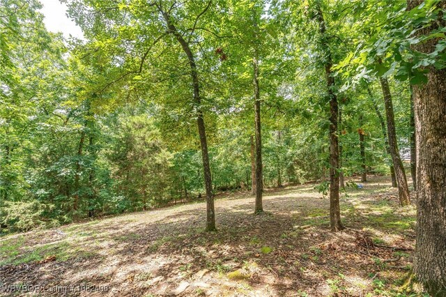 1708 Rannoch Trce, Fort Smith, AR 72908 - photo 52