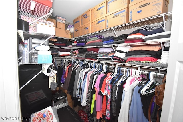view of walk in closet