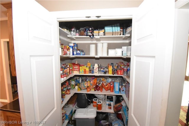 view of pantry