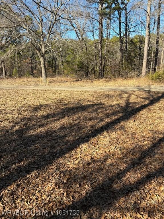 TBDLOT3 Rocky Rd, Hodgen, OK 74939