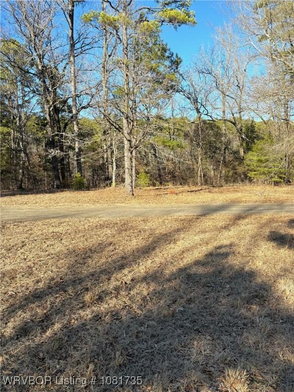 TBDLOT3 Rocky Rd, Hodgen, OK 74939