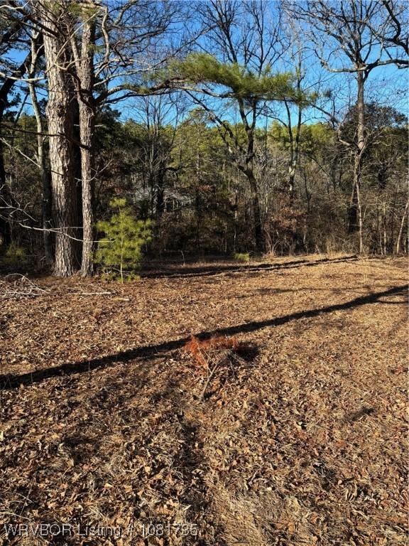 TBDLOT3 Rocky Rd, Hodgen, OK 74939