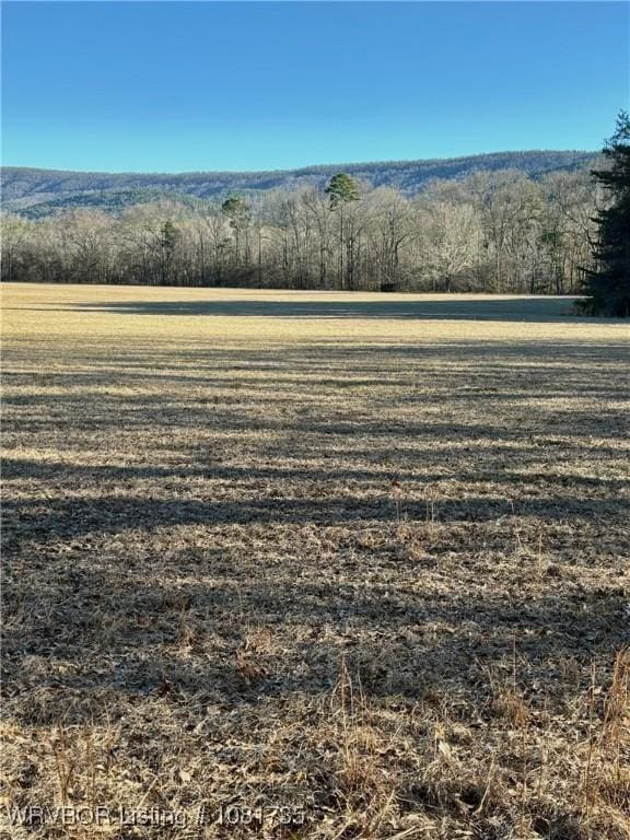 TBDLOT3 Rocky Rd, Hodgen, OK 74939