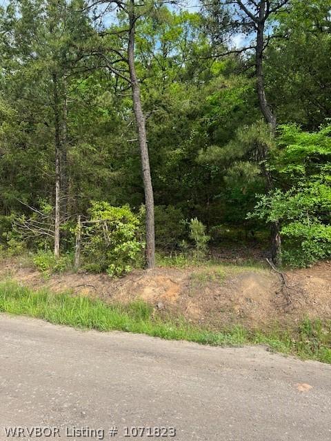 N/A Brown St, Paris AR, 72855 land for sale