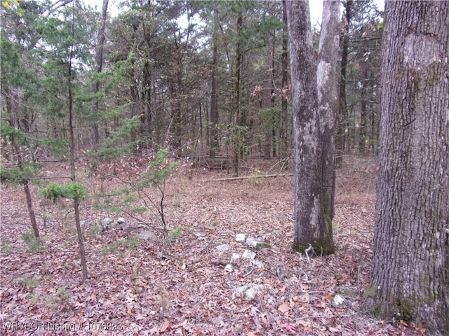 Listing photo 2 for TBD Carter Mtn Road, Ozark AR 72949