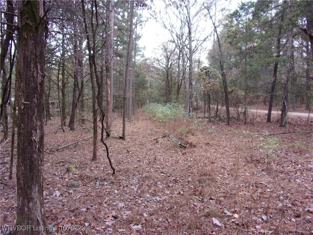 Listing photo 3 for TBD Carter Mtn Road, Ozark AR 72949