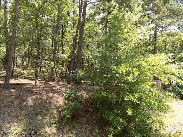 Listing photo 2 for 2 Zaragoza Way, Hot Springs Village AR 71909